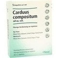 Carduus compositum ad us. vet. ampolas 5 x 5 ml