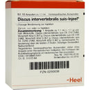 Discus intervertebralis suis Injeel ampolas 10 x 1,1 ml