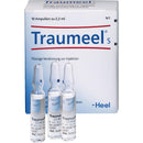Traumeel S ampolas 10 x 2,2 ml