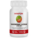 GANODERMA LUCIDUM - LING ZHI - 60 cápsulas - Vitafor
