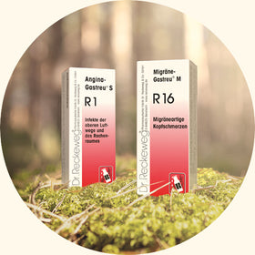 Dr. Reckeweg R89 gotas 22 ml