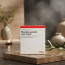 Medulla spinalis suis Injeel ampolas 10 x 1,1 ml