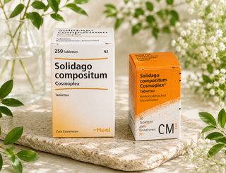 Solidago compositum Heel ampolas 10 x 2 ml