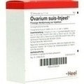 Ovarium suis Injeel ampolas 10 x 1,1 ml