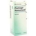 Plantago Homaccord gotas 30 ml
