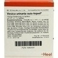 Vesica urinaria suis Injeel ampolas 10 x 1,1 ml