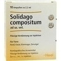 Solidago compositum ad us. vet. ampolas 10 x 2,2 ml